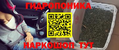 ГАЛЛЮЦИНОГЕННЫЕ ГРИБЫ Можга