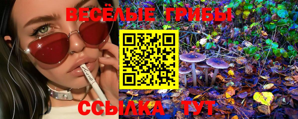 Галлюциногенные грибы Cubensis Евпатория
