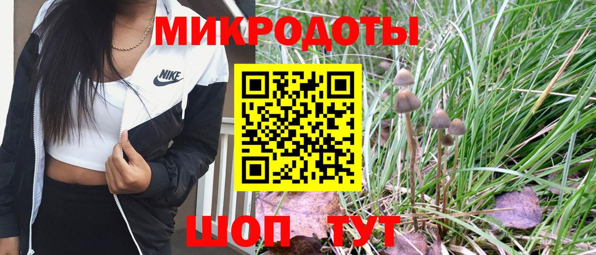 Евпатория  Псилоцибиновые грибы MAGIC MUSHROOMS  Вход с VPN 